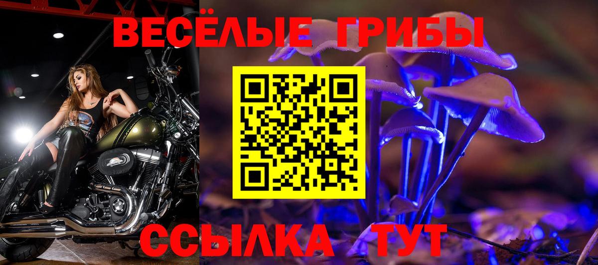 Галлюциногенные грибы GOLDEN TEACHER  Вход с VPN  Армавир 